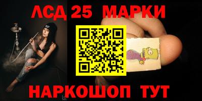 гашик Берёзовский