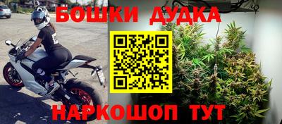 гашик Берёзовский