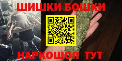 гашик Берёзовский