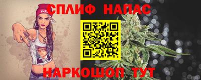 стафф Бийск