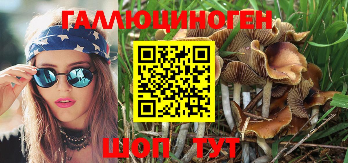 Псилоцибиновые грибы прущие грибы  Галлюциногенные грибы прущие грибы  Воткинск 