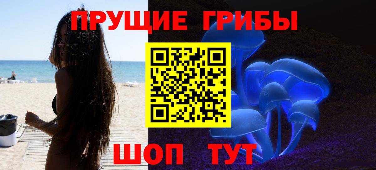 Галлюциногенные грибы Psilocybine cubensis Воткинск