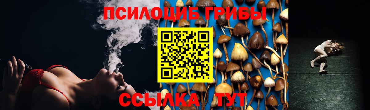 Псилоцибиновые грибы Magic Shrooms  где продают наркотики  Воткинск  Вход с VPN 
